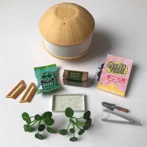 pilea pair Miniverse Make It Mini Lifestyle